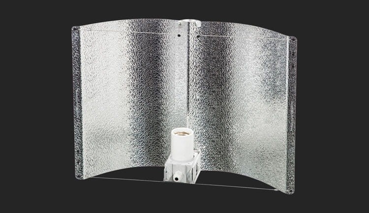 1042_2.jpg
