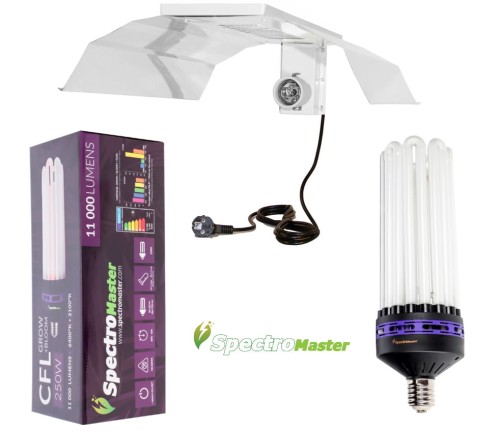 Spectromaster CFL 250w dual SET.jpg