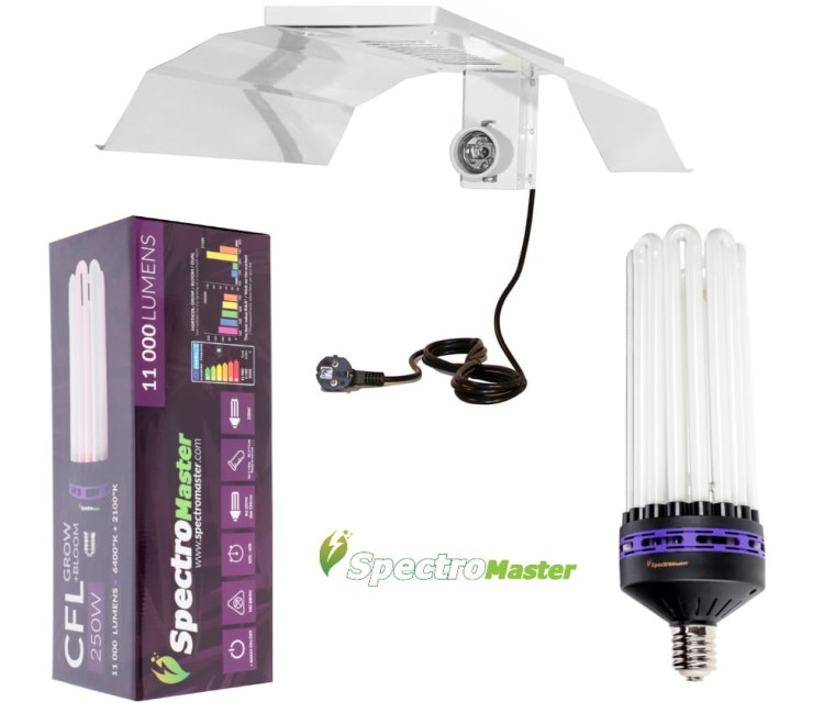 Spectromaster CFL 250w dual SET.jpg