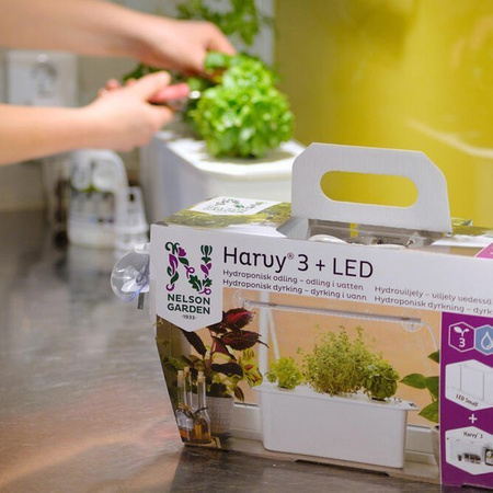 System do uprawy hydroponicznej Harvy 3 – Opakowanie na prezent