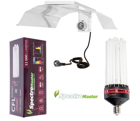 Zestaw  CFL Spectromaster 250W - Kwitnienie