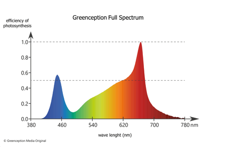 Greenception GC Bar 8 LED 560W