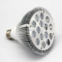 Lampa LED PAR54W, E27