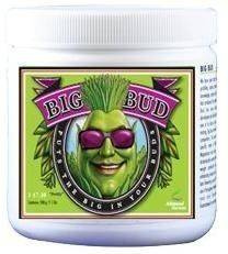 Advanced Nutrients Big Bud 130g proszek