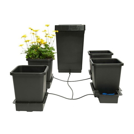 Zestaw AutoPot 1POT 4x15L