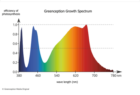 Greenception GC Bar 8 LED 560W