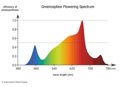 Greenception GC 16 Plus LED 700W