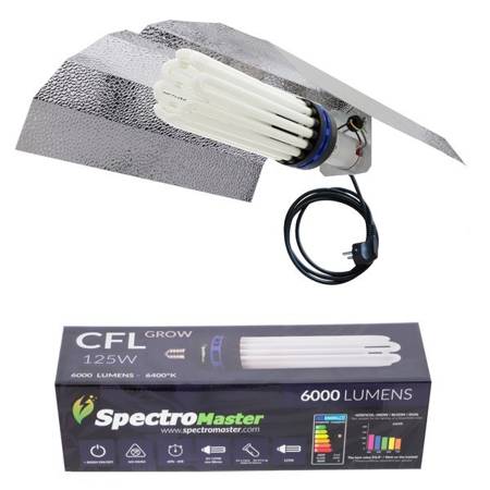 Zestaw CFL Spectromaster 125W - Wzrost 