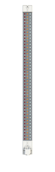 5295_2.png